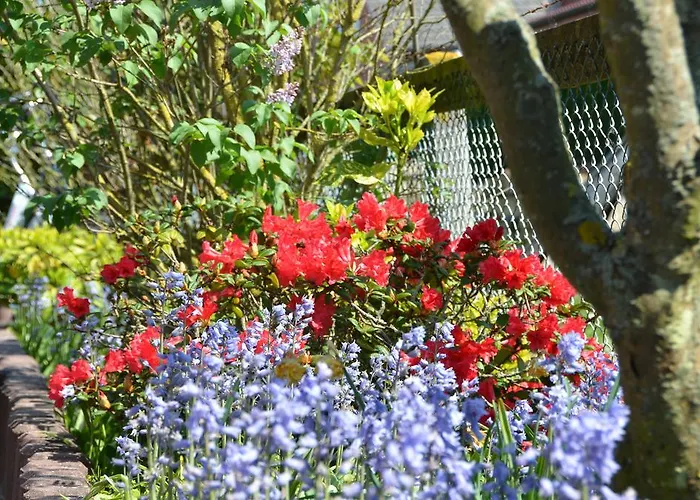 Daheim Casa de Férias